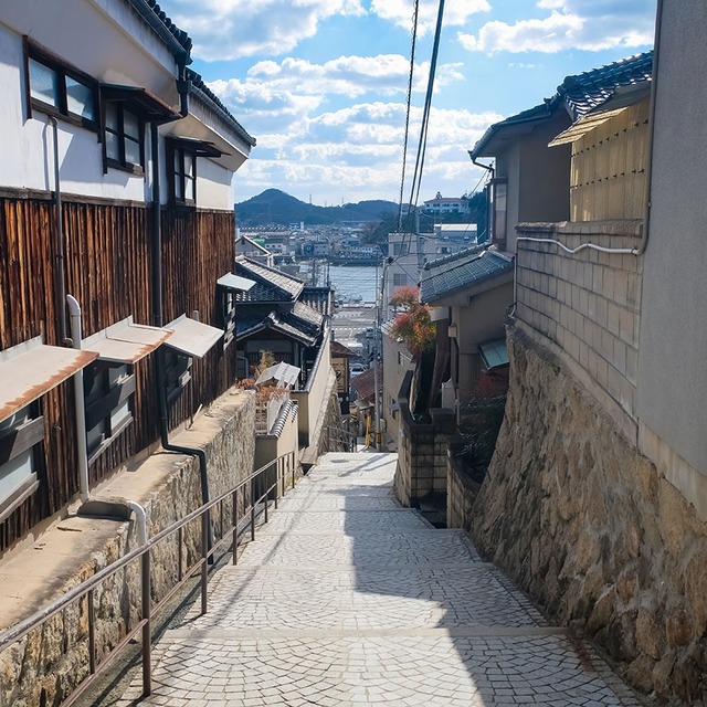 ギャラリーの画像11