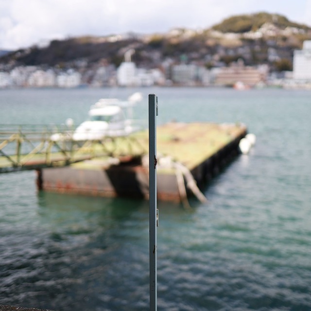 ギャラリーの画像10